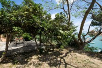 /album/casa-vacanze-cala-marina/dsf1522-jpg/